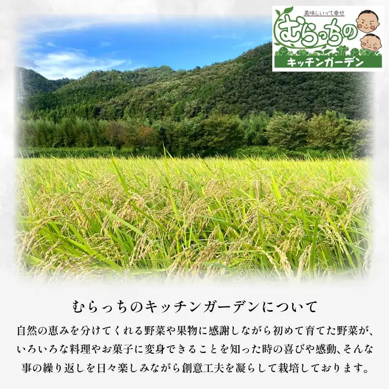 令和8年産 米 玄米 10kg アキサカリ