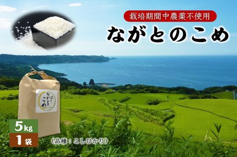 (10055)ながとのこめ こしひかり 白米 5ｋｇ×1袋 合計5kg 精米 コシヒカリ長門市 令和5年度産