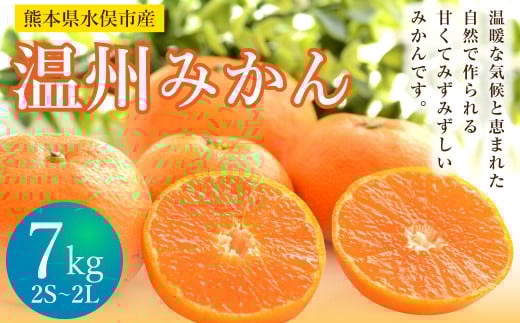 温州みかん 約7kg 2S～2L みかん 果物 くだもの フルーツ 柑橘 【2025年11月上旬から2025年12月上旬まで順次発送予定】