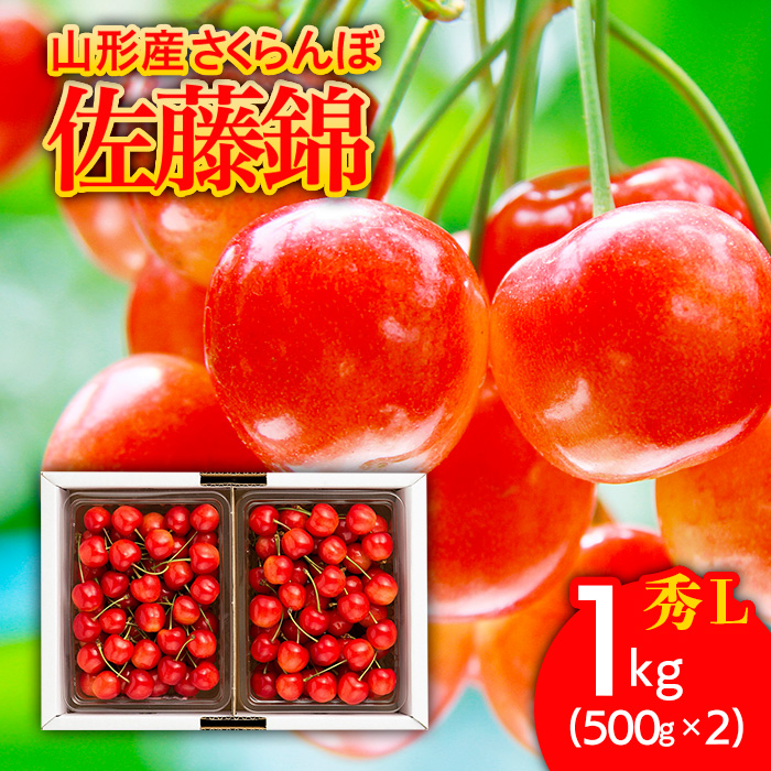 さくらんぼ 佐藤錦1kg(500g×2) L バラ詰め 【令和8年産先行予約】FS25-507
