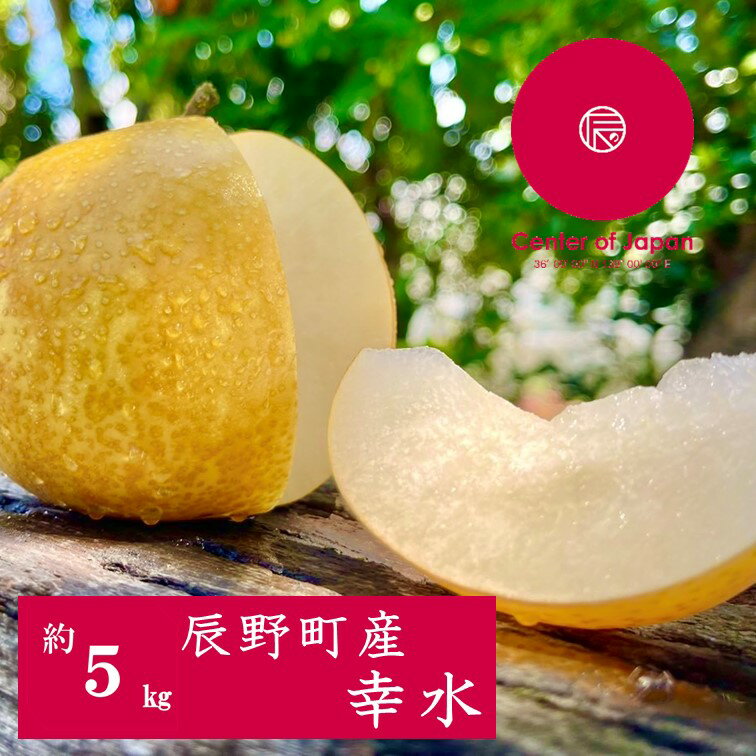 【ふるさと納税】227 先行予約 梨 幸水 5キロ 【野澤フルーツ農園】
