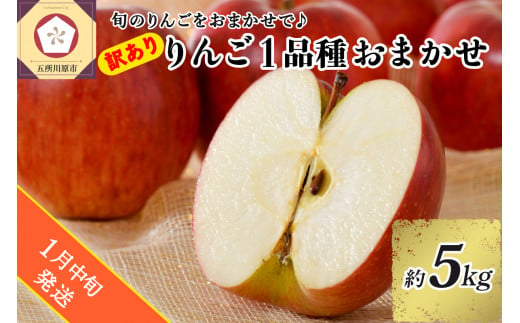 【2025年1月中旬発送】 【訳あり】 旬の美味しい りんご 約5kg 青森 産 【おまかせ1品種】