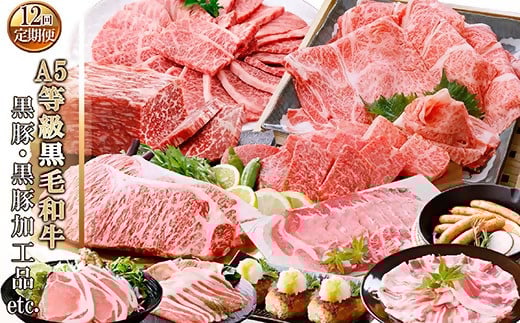 お肉の定期便(12回)枕崎お楽しみ便(A5等級黒毛和牛・黒豚・黒豚加工品etc)KK-6003【1166746】 _ 肉 定期便 黒毛和牛 黒豚 加工品 ステーキ ソーセージ ハム 12回 ハンバーグ 鹿児島県 枕崎市 人気 おすすめ 送料無料 贈答 ギフト カツ