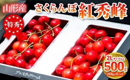 さくらんぼ 「紅秀峰」500g 特秀品 2Lサイズ以上 山形産【令和8年産先行予約】 FS25-926