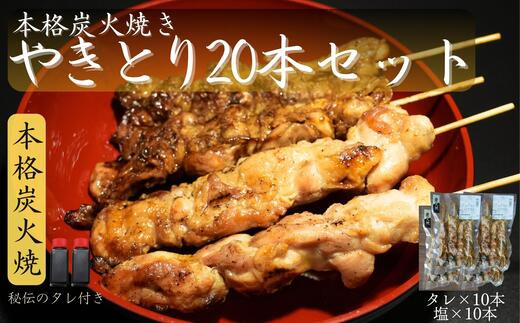 
本格炭火焼 やきとり 計20本セット （塩・タレ）焼鳥 冷凍 小分け
