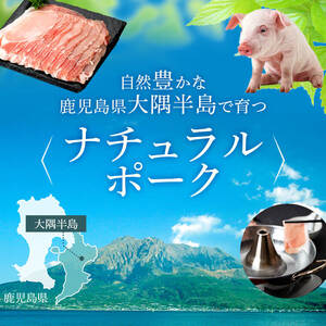 【B05046】鹿児島県産豚ロース・豚バラスライスセット(合計約3kg・各約300g×10パック) 鹿児島 国産 九州産 黒豚 豚肉 お肉 豚バラ スライス しゃぶしゃぶ 野菜炒め 生姜焼き【大将食品