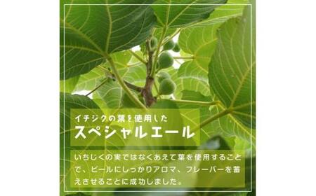 酒 クラフトビール　Fig Leaves Beer　6本セット