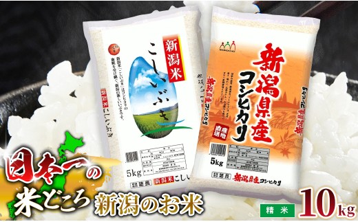 
                  R7年産 新潟県産 精米10kg 極み食べ比べセット（コシヒカリ×こしいぶき） 各5kg
                