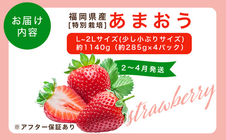 福岡県産 特別栽培 あまおう L~2Lサイズ（少し小ぶりサイズ）約1140g（約285g×4パック）【2〜4月発送】　農園直送 アフター保証 先行予約 福岡産 送料無料 ケーキ ギフト お祝い 限定 