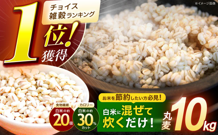
            【最速発送】長崎県産 丸麦 10kg / 麦 むぎ 雑穀 雑穀米 麦ごはん 10kg 麦飯 麦みそ 食物繊維 長崎県産 米 こめ コメ ※ / 諫早市 / 有限会社伊東精麦 [AHBU005] 最速発送 スピード発送
          