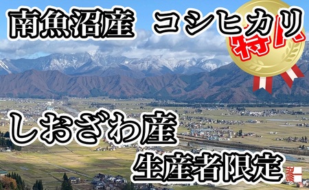 【令和7年産】【定期便：20Kg×12ヶ月】生産者限定 契約栽培 南魚沼しおざわ産コシヒカリ【2025年10月上旬より順次発送予定】