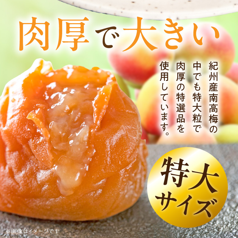 SF1029_紀州南高梅「稔」40粒入_イメージ3