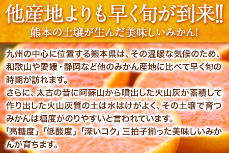 みかん 訳あり 大粒 ミカン 10kg 10キロ 熊本 ちょっと 訳あり 傷 5L～3Lサイズ 約10kg たっぷり 熊本県産 熊本県 期間限定 フルーツ 旬 柑橘 ご家庭用 長洲町 大粒《2025年1月中旬-2月末頃より出荷予定》---fn_notbmkn_bc1_25_13000_10kg---