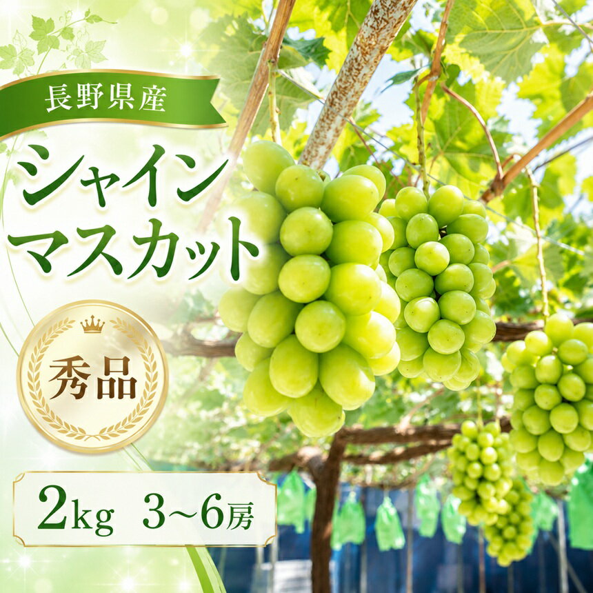 【ふるさと納税】【2026年先行予約】＜南信州産＞シャインマスカット 秀品 約2kg(3〜6房)＜2026年9月中旬〜順次発送＞ JAみなみ信州DMセンター飯田市 | シャインマスカット ぶどう マスカット フルーツ 果物 ブドウ 葡萄 南信州 送料無料 ふるさと納税 長野県 飯田市 K12