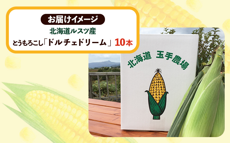 【数量限定】《生産者直送》北海道ルスツ産とうもろこし「ドルチェドリーム」10本（玉手農場）（オンライン決済限定）【12006】