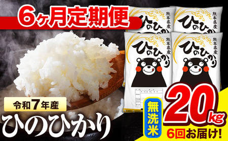 令和7年産 無洗米 【6ヶ月定期便】 ひのひかり 20kg《お申込み翌月から出荷》 熊本県産 無洗米 精米 氷川町 ひの 送料無料 ヒノヒカリ コメ 便利 ブランド米 お米 おこめ 熊本