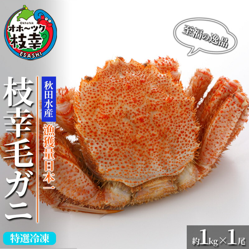 【ふるさと納税】【漁獲量日本一】至福の逸品！特選冷凍「枝幸毛がに」約1kg×1尾 毛蟹 毛ガニ オホーツク 北海道加工食品 地域のお礼の品 カタログ 毛カニ