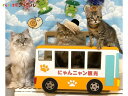 【ふるさと納税】猫の爪とぎ 観光バス 猫 爪とぎ ダンボール 丈夫 写真映え 日本製 常滑市 国産 おもちゃ ペット バス 乗り物 運転手 なりきり インテリア かわいい 送料無料