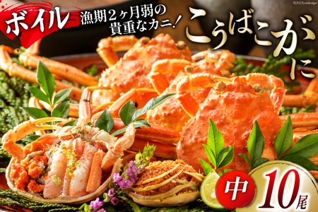 【期間限定発送】【能登半島 漁協直送！】ボイル済 香箱ガニ 10尾[JF西海 石川県 志賀町 AM4228]