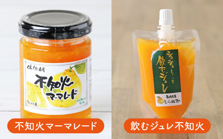 シュシュオリジナル 不知火味わい4種セット / しらぬい ジュース マーマレード ジュレ オレンジ / 大村市 / おおむら夢ファーム[ACAA483]