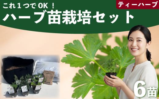 ハーブ 苗 栽培キット ティーハーブ 6品種 花苗 苗木 ガーデニング 寄せ植え プランター 土 肥料 付き プレゼント 育成セット 日用品 園芸 花苗 おすすめ セット ポタジェガーデン 埼玉県 羽生市