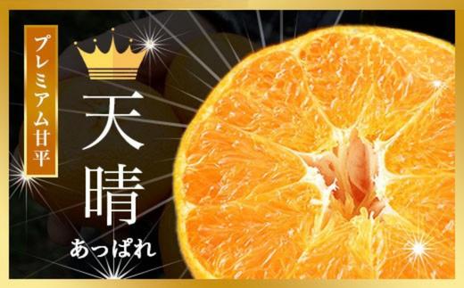 
                  【先行予約】【数量限定】プレミアム甘平「天晴」 JAおちいまばり厳選 限定20箱【K000540】2027年1月中旬～2月中旬順次発送予定 JAおちいまばり 甘平 愛媛 の みかん 高級 ミカン 美味しい 高級フルーツ 今治みかん 愛媛産 自家用みかん プレゼント 贈り物 今治 農協
                
