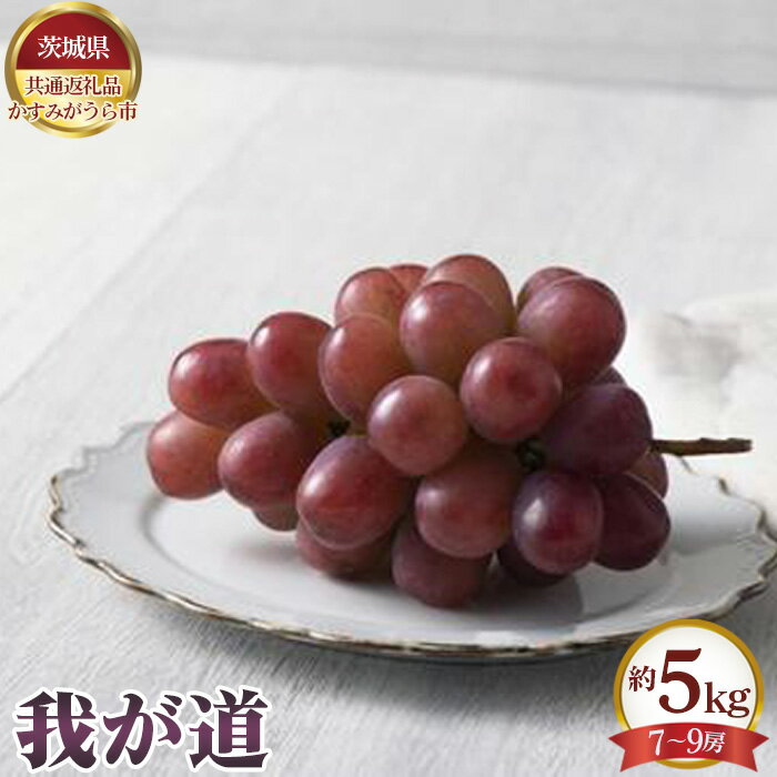 【ふるさと納税】No.653 【先行予約】我が道　約5kg（7～9房）【茨城県共通返礼品 かすみがうら市】 ／ ぶどう ブドウ 葡萄 フルーツ 果物 送料無料 茨城県