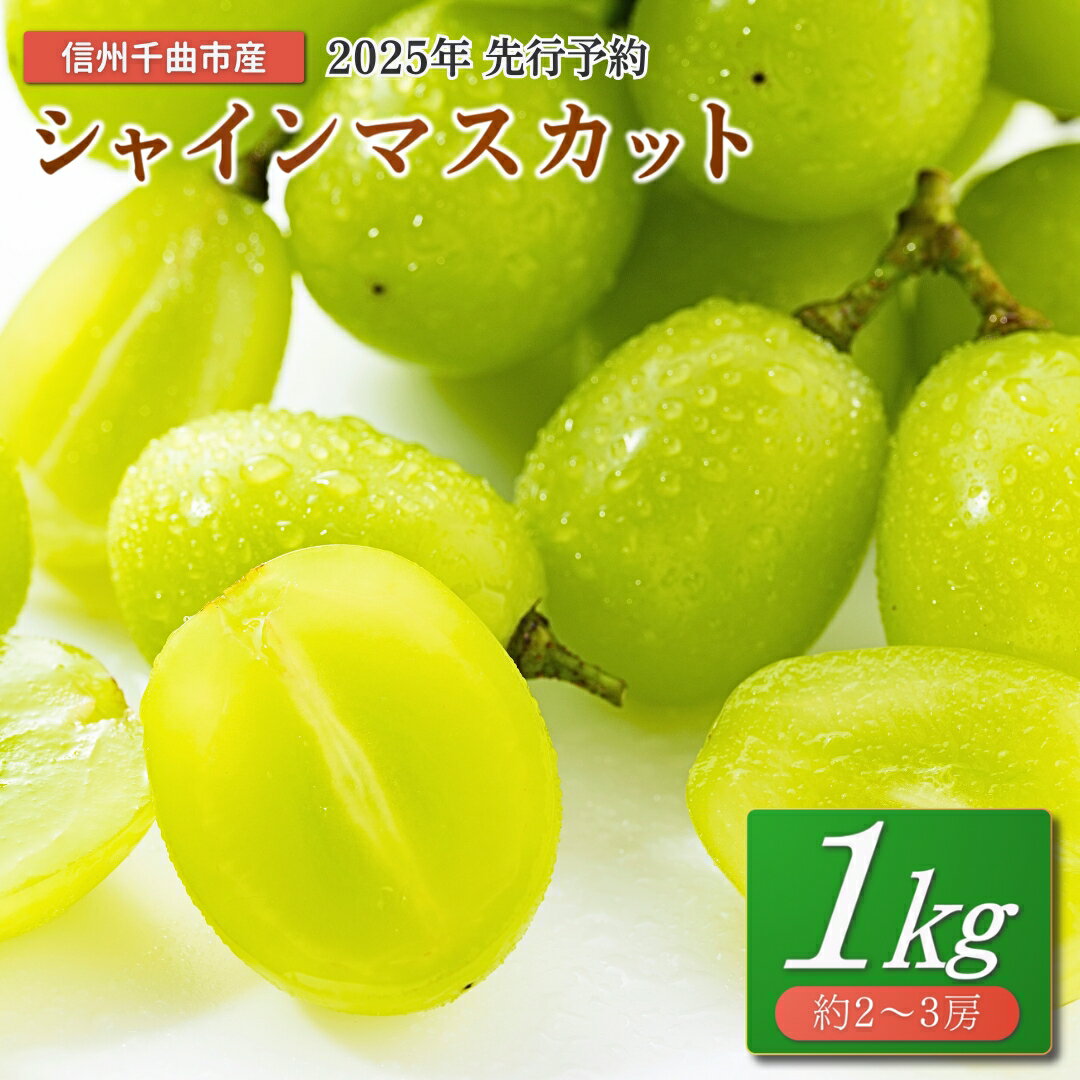【ふるさと納税】【2025年先行予約】 シャインマスカット 1kg(2~3房) ｜ ぶどう 葡萄 白ぶどう 種無し 種なし 皮ごと 千曲市 長野県産 信州
