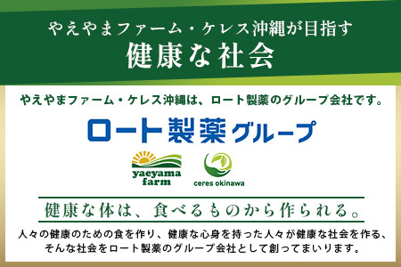 アグー豚(F1種) 南ぬ豚 業務用あらびきソーセージ　1.2kg（400g×3パック）E-34