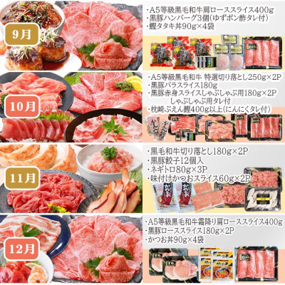 定期便(12回配送)お楽しみ便(A5等級黒毛和牛・黒豚・かつお・まぐろ・さつまあげ等)JJ−6002【配送不可地域：離島】【1166755】