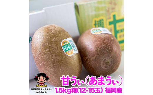 
福岡限定!ブランドキウイ「甘うぃ(あまうぃ)」約1.5kg箱(12-15玉)(吉富町)【1232058】
