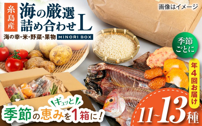 【全4回定期便 令和7年産新米】糸島産 魚 米 野菜 果物 厳選詰め合わせ MINORI BOX Lサイズ【季節ごとに年4回お届け】　糸島市 / emma.Inc / 米 魚 野菜 果物 詰め合わせ[AOP006] 米 こめ 魚 さかな 野菜 やさい 果物 くだもの 糸島 詰め合わせ MINOR