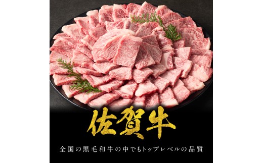 【12月配送】中山牧場 佐賀牛霜降り焼肉 800g ／ バーベキュー BBQ 牛肉 肉 お肉 佐賀牛 赤身 霜降り モモ ウデ 肩ロース カルビ 焼き肉 焼肉セット A5 A4 a5 a4 黒毛和牛 