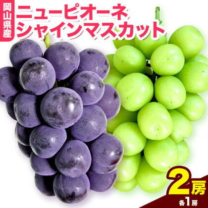 岡山県産ニューピオーネ（１房580g以上）＆シャインマスカット「晴王」（1房580g以上）（令和8年産先行受付）《2026年9月上旬-10月下旬頃出荷》【配送不可地域あり】---H-40b--- 290387 岡山県笠岡市