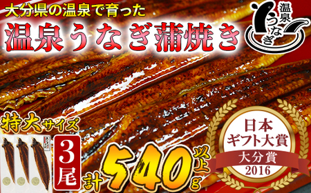 温泉うなぎ蒲焼 3尾（180gサイズ） 国産うなぎ ＜104-016_5＞