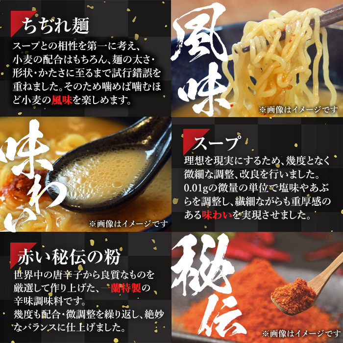 No.1099-C 一蘭ラーメンちぢれ麺(計5食・スープ付き) 麺 ラー