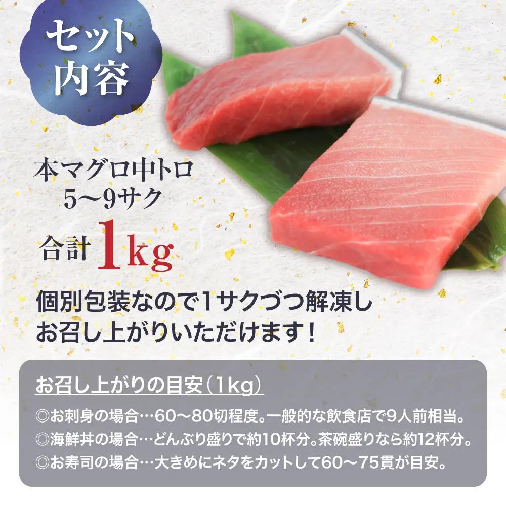 本マグロ中トロ 小分け 約1kg まぐろ