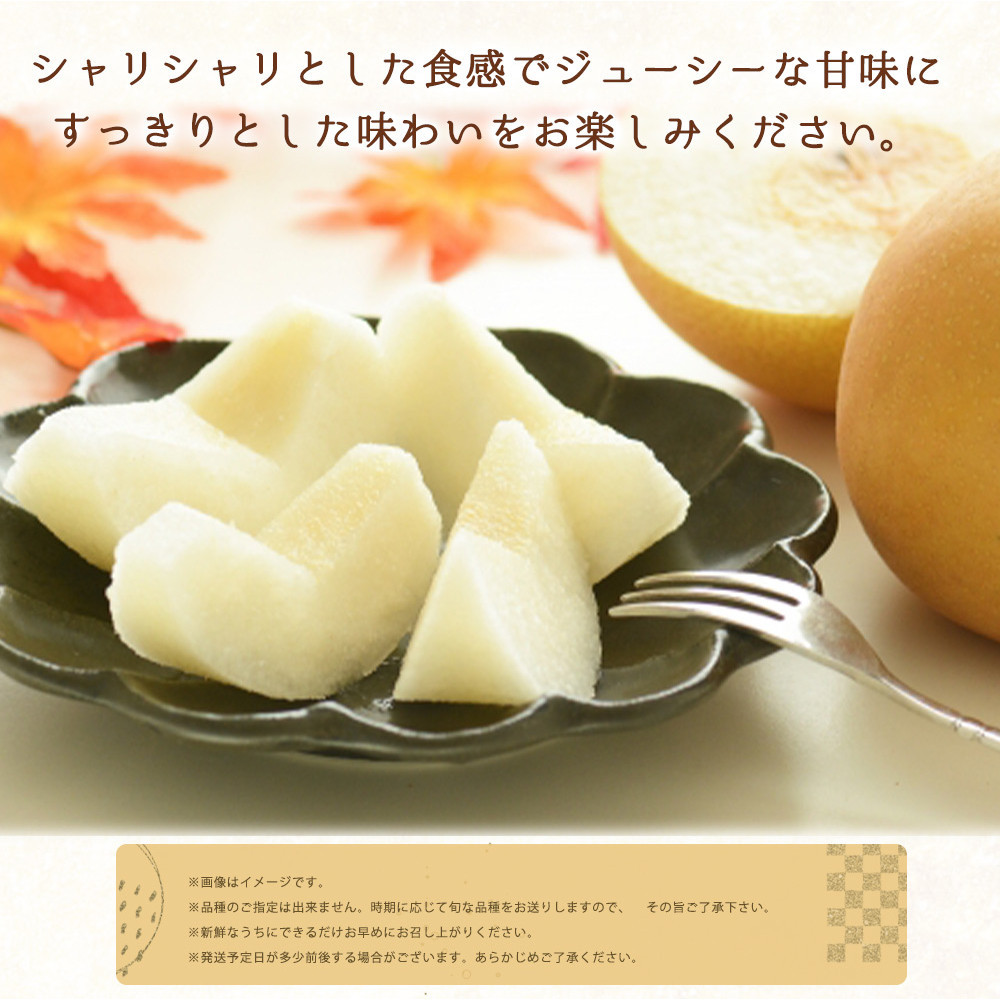 定期便 8・9月発送 紀州有田産旬のフルーツセット（種なし巨峰×2房（約800g〜1kg）・梨×3玉 化粧箱入）