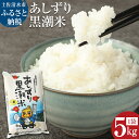 【ふるさと納税】令和6年産 新米 あしずり黒潮米5kg（コシヒカリ）こしひかり 精米 白米 ブランド米 お米 米 コメ ご飯 おにぎり 甘い もちもち 国産 宗田節で育てた 故郷納税 高知県 土佐清水市 送料無料 高知【R01305】