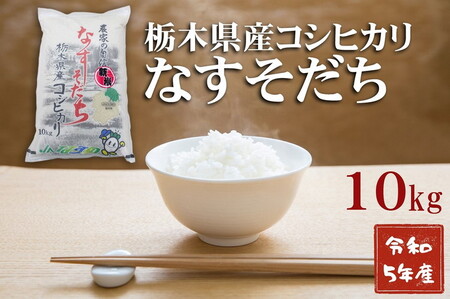 令和6年産 栃木県産 コシヒカリ なすそだち 10kg JAなすの産地直送【大田原市・那須塩原市・那須町共通返礼品】〔C-76〕　※離島への配送不可