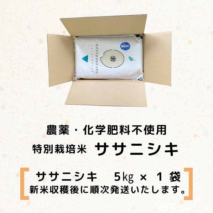【令和5年産新米予約】【無洗米】栽培期間中農薬・化学肥料不使用　特別栽培米ササニシキ5kg