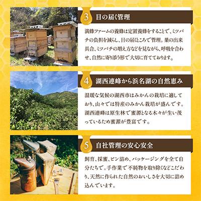ふるさと納税 湖西市 浜名湖ほとり 渚みかんはちみつ・みなと百花はちみつ 各460g・みなと百花はちみつ 300g　3本 |  | 02