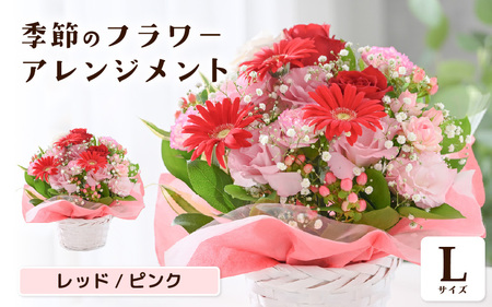 季節のフラワーアレンジメント L (レッド・ピンク) 花束 生花 プレゼント [B-20713_01]
