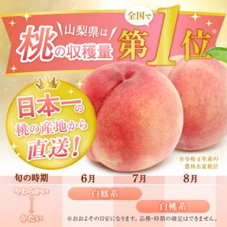 【ジューシー山梨白鳳ブランド】人気品種指定約1kg（３玉）【2024年発送】（PMK）B17-106