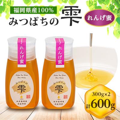 ふるさと納税 大牟田市 みつばちの雫　国産れんげ蜜　300g×2