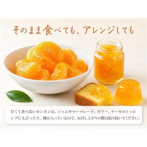 【日高町】紀州和歌山有田産ポンカン　5kg【1217367】