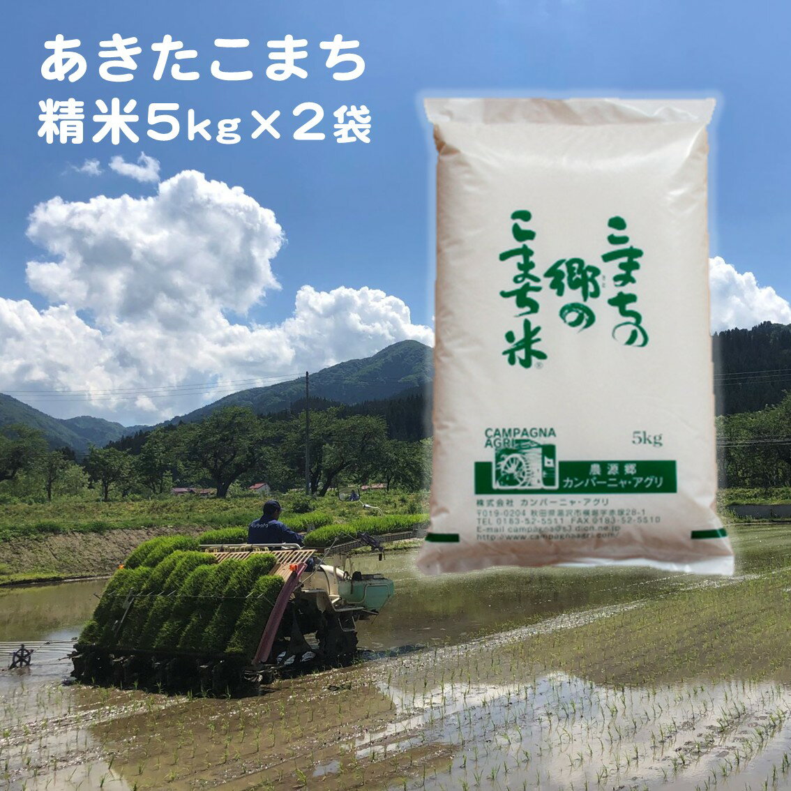 【ふるさと納税】【令和7年産】こまちの郷のこまち米 精米 5kg×2袋（計10kg）秋田 米 お米【(株)カンパーニャ・アグリ】[H2-12401]