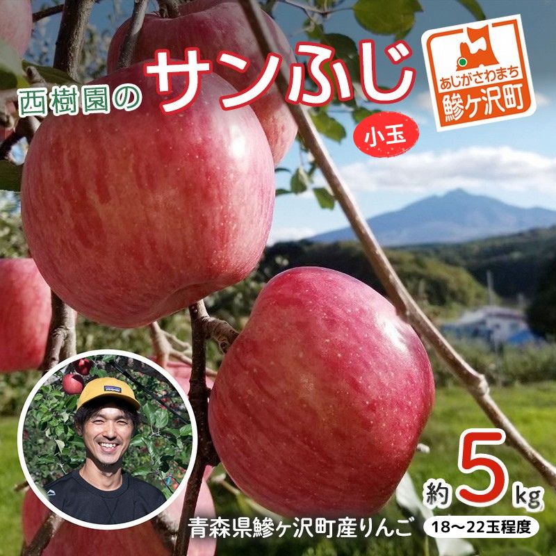 【ふるさと納税】りんご 訳あり 青森 サンふじ リンゴ 小玉 約 5kg （18～22玉） 青森県 鰺ヶ沢町産 西樹園 フルーツ 果物 果物類 白神山地 林檎 サンフジ ふじ　お届け：2026年11月15日～2027年1月10日