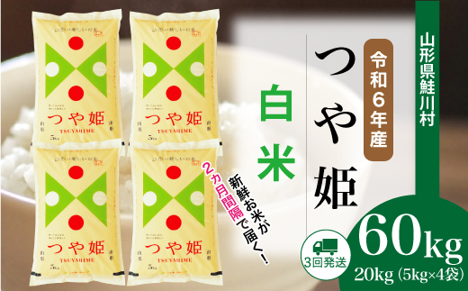 ＜令和6年産米＞ 令和7年3月下旬より配送開始 特別栽培米 つや姫【白米】60kg定期便(20kg×3回)　鮭川村