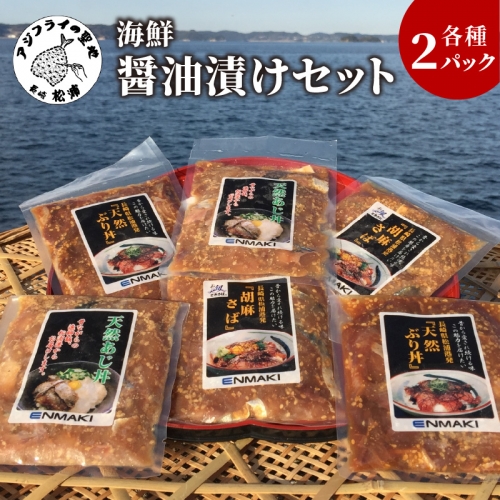 【A9-027】海の幸 海鮮醤油漬けセット